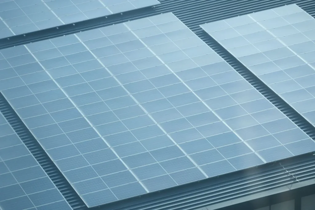 How Australia’s Carbon Markets Shape Economic Reality