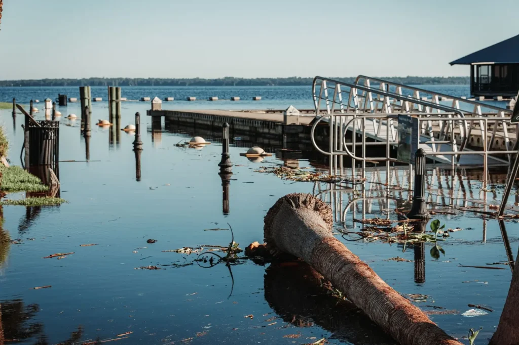 Climate Tipping Points and Australia’s Changing Systems