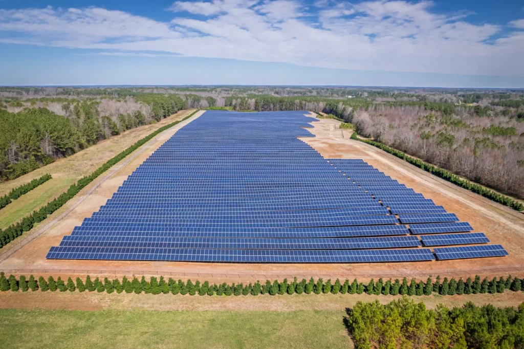How Australia’s Climate Policy Shapes Where Money Flows