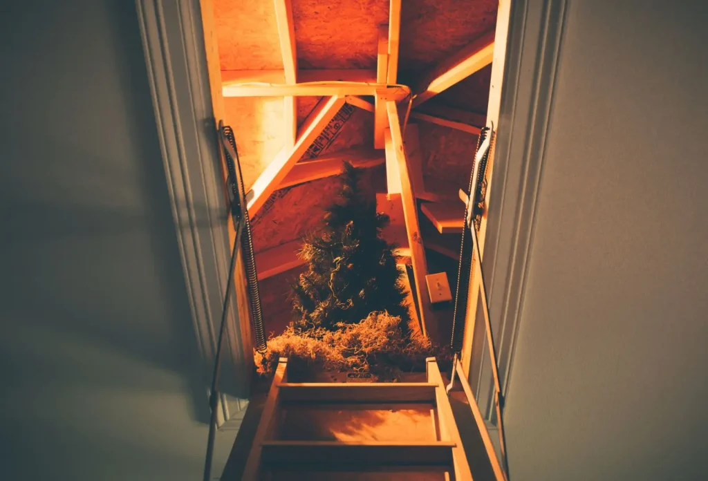 Where Your House Actually Loses Energy