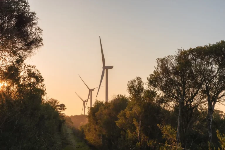 Australia's Wind Energy Expansion: Real Constraints and Momentum Australia's Wind Energy Expansion: Real Constraints and Momentum
