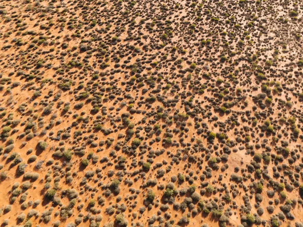 Why Australian Heatwaves Are Becoming Harder to Survive