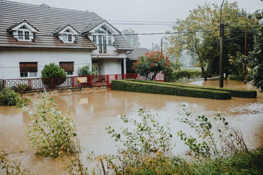 How Australia’s Rainfall Shifts Affect Home and Garden