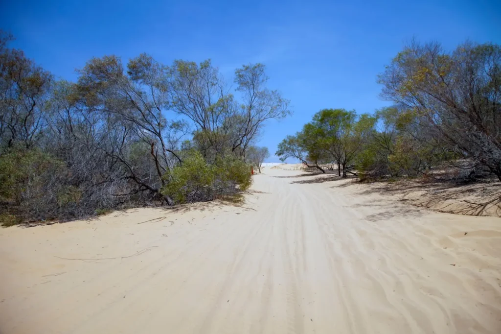 Australia’s Climate Adaptation: What Actually Needs to Change