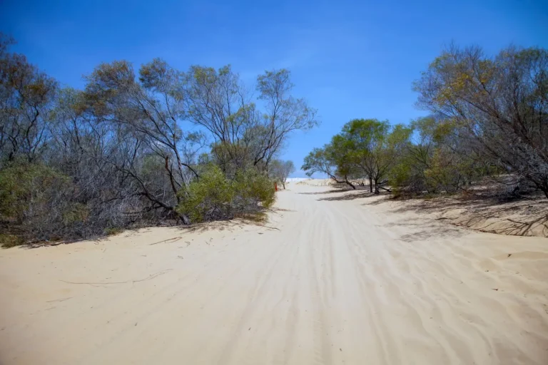 Australia's Climate Adaptation: What Actually Needs to Change Australia's Climate Adaptation: What Actually Needs to Change