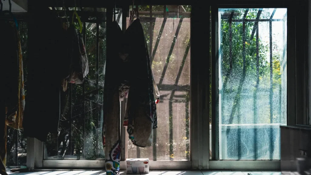 Balancing Light, Air, and Comfort in Your Home Windows