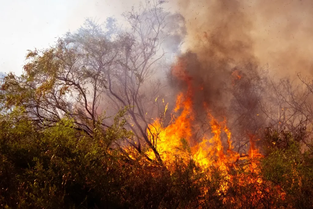 How Australia’s Fire Seasons Are Shifting Earlier and Lasting Longer