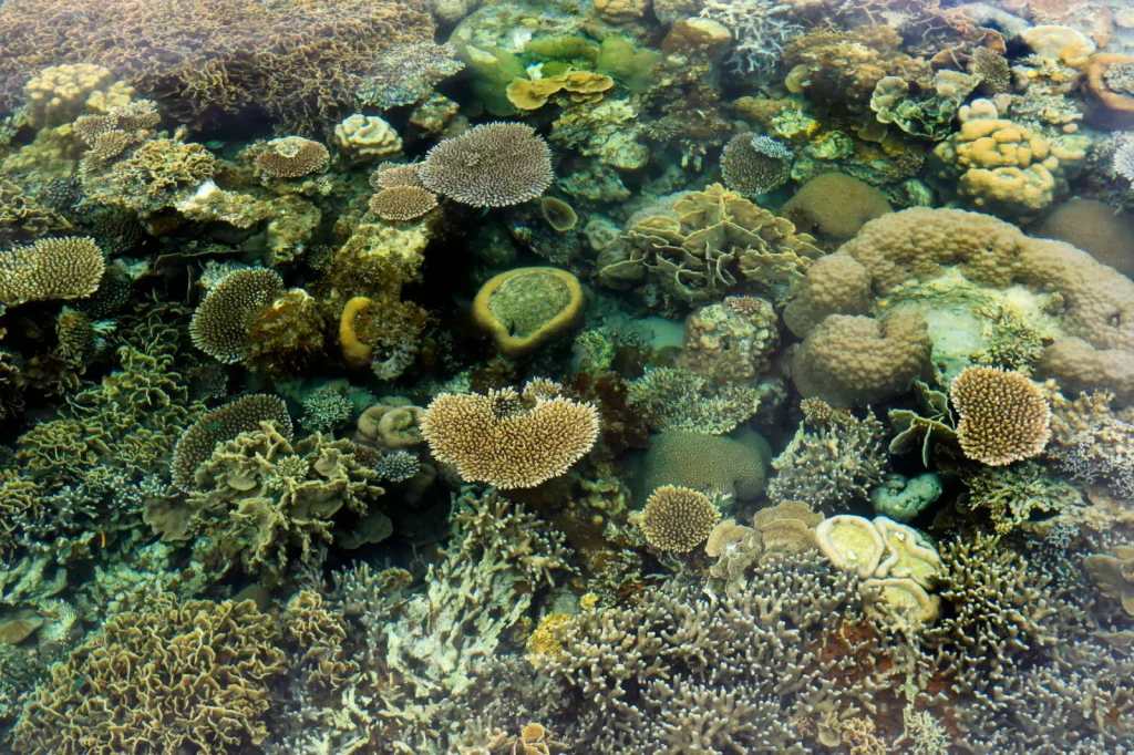 Climate Shifts Are Reshaping Australia’s Tourism Geography