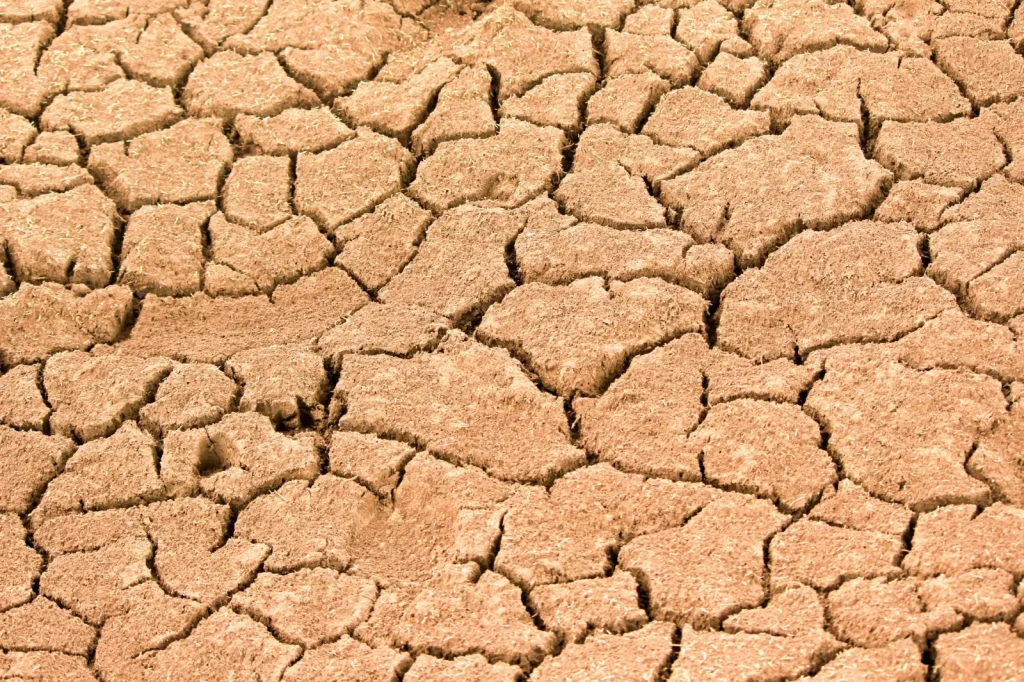 Australia’s Drought Cycle and What It Means for Homeowners