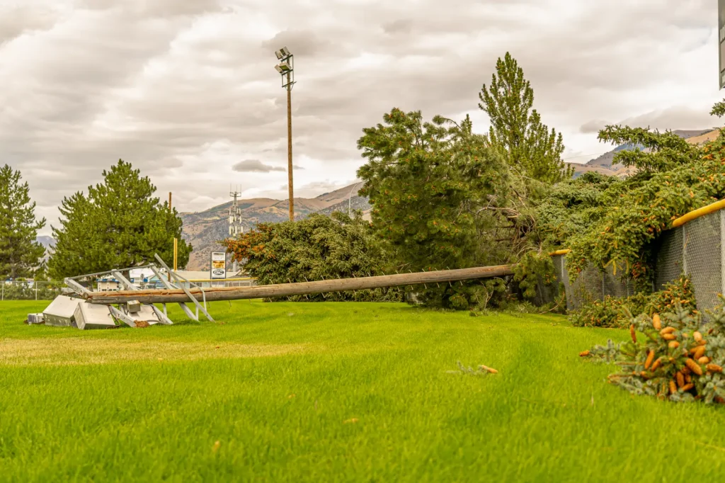 Weather Damage and Australia’s Hidden Repair Costs