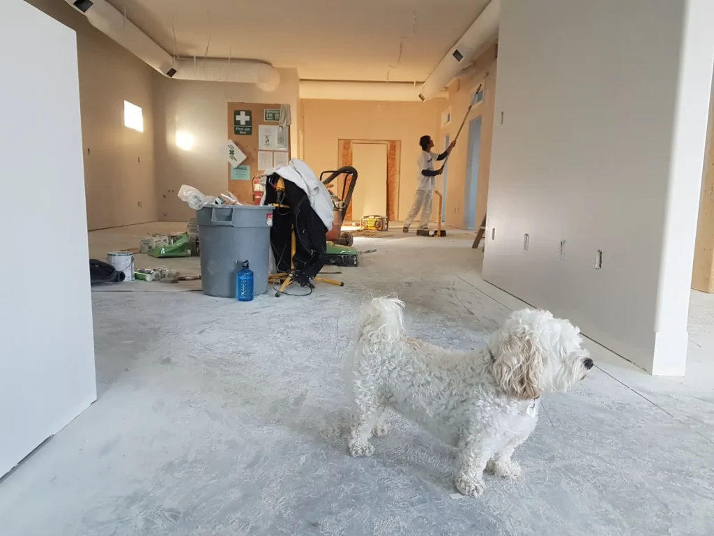 Bathroom Renovation: Budget, Layout, and Real Trade-Offs