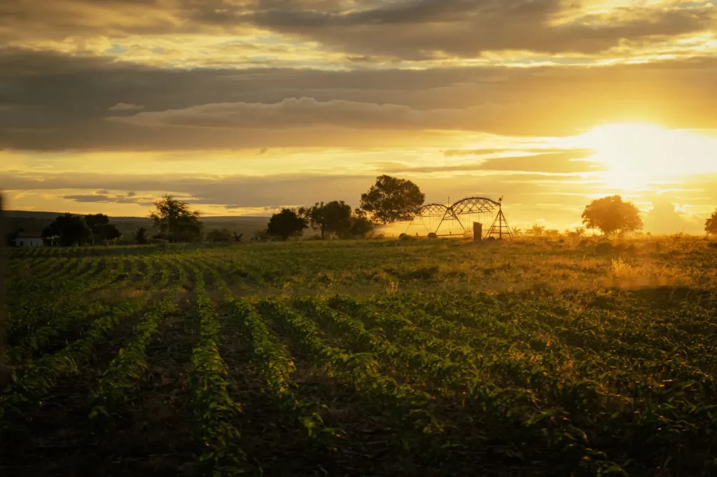How Renewable Energy Is Reshaping Rural Australia