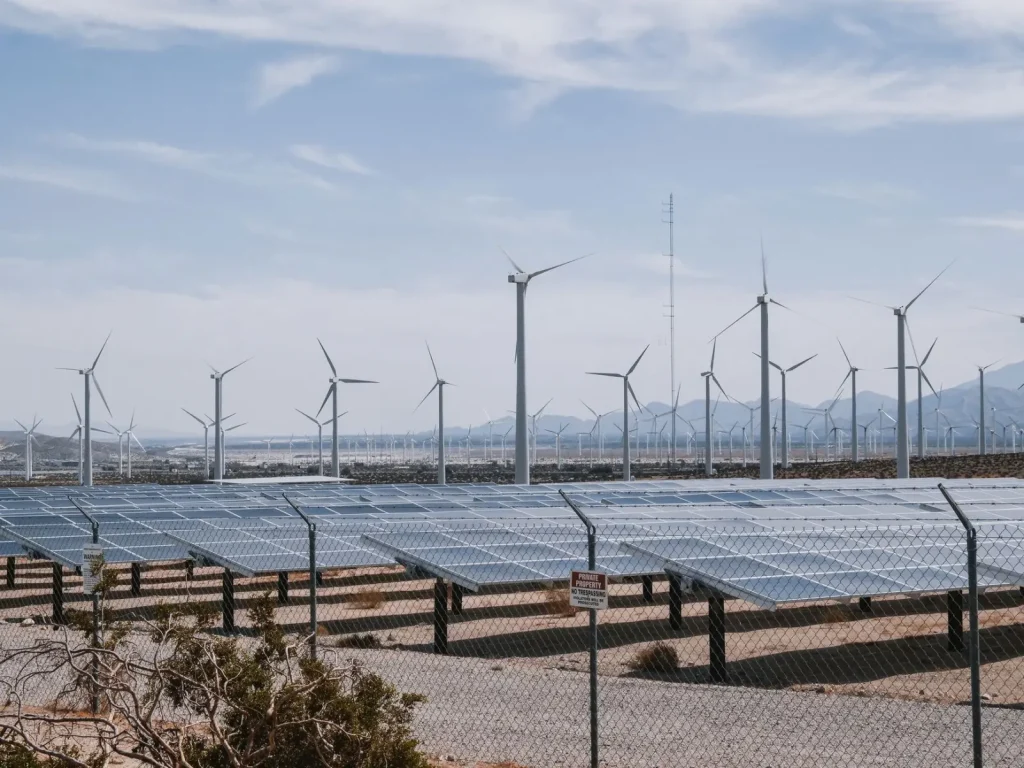Green Hydrogen in Australia: Separating Reality from Hype